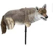 Yote&#039; Coyote Decoy Edge Innovative Hunting 