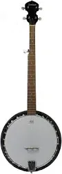 Remo Head 5-String Banjo