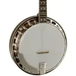 Recording King Bluegrass Series RK-R20 Songster Banjo