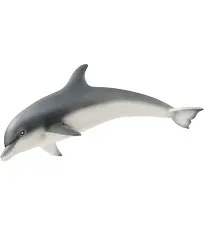 Dolphin