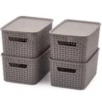 EZOWare Lidded Storage Bins