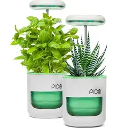 Pico Planter Indoor Garden with Plant Grow Light. This Herb Growing Kit is the Perfect Self Watering Planter. An Indoor Garden for Your Home and Office. Grow with Soil or Soil-Less Hydroponics