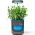 Pico Planter Indoor Garden with Plant Grow Light. This Herb Growing Kit is the P