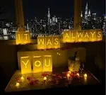 WYMM It Was Always You Light Up Letters and LED Lights Roses Luminary Paper Bags