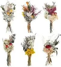 Mini Natural Dried Flower Bouquet, 5.5inch 6 Set Tiny Dry Rose Floral Bouquets 