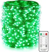 ER Chen 66ft LED String Lights