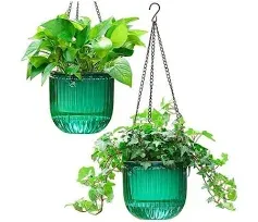 2 Pack Self Watering Planters