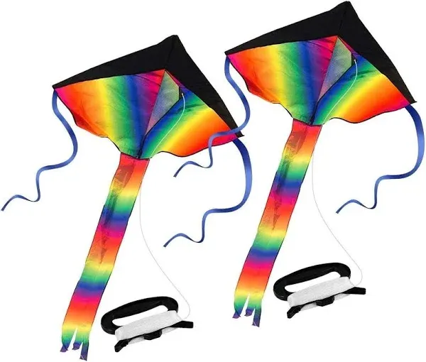 Singare Rainbow Delta Kite 2 Pack