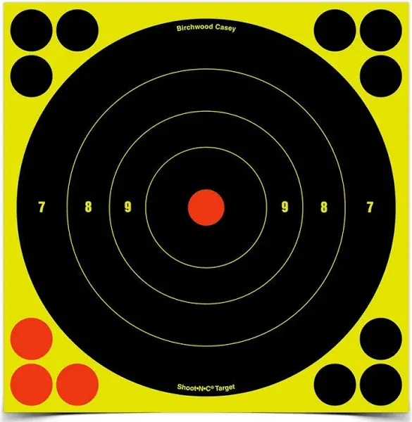 Birchwood Casey Shoot-N-C Target