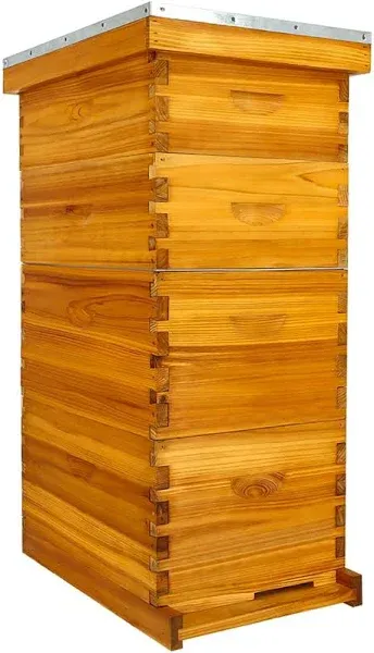 Honey Lake 8 Frame Bee Hive Dipped in 100% Beeswax, Langstroth Complete Beehives Starter Kit Includes 2 Deep Brood Box and 2 Medium Super Box with Beehive Frames and Waxed Foundation Sheet