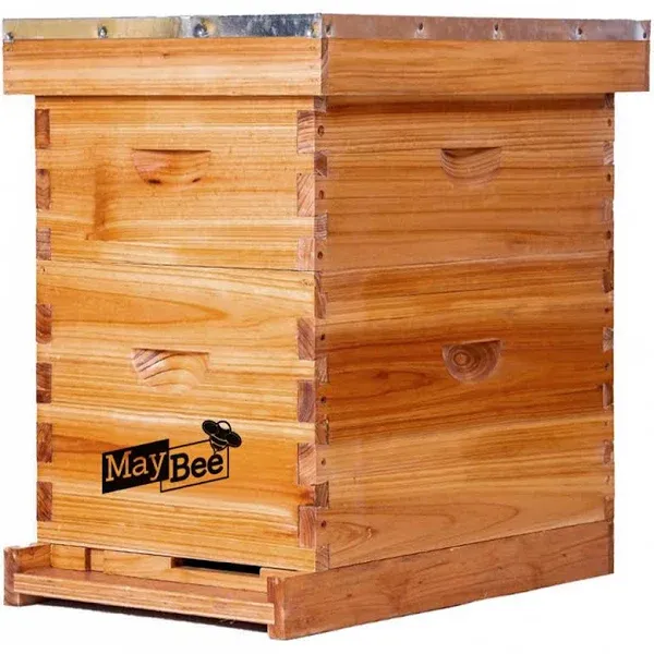 MayBee Beehive 8 Frame Starter Kit