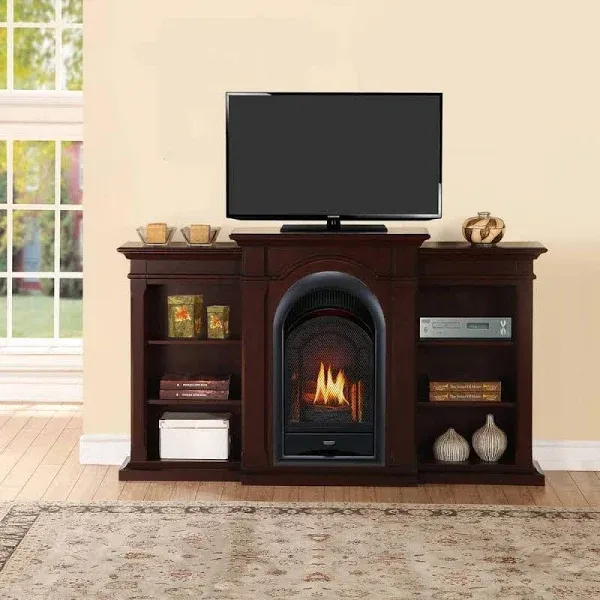 Procom Vent Free Propane/Natural Gas Fireplace