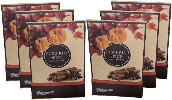 Sachets Pumpkin Spice (Fall and Winter) - 6 Pack - Long Lasting, Home Fragrance Perfect for Any Space - Air Freshener - Scents for Rooms - Made in The USA