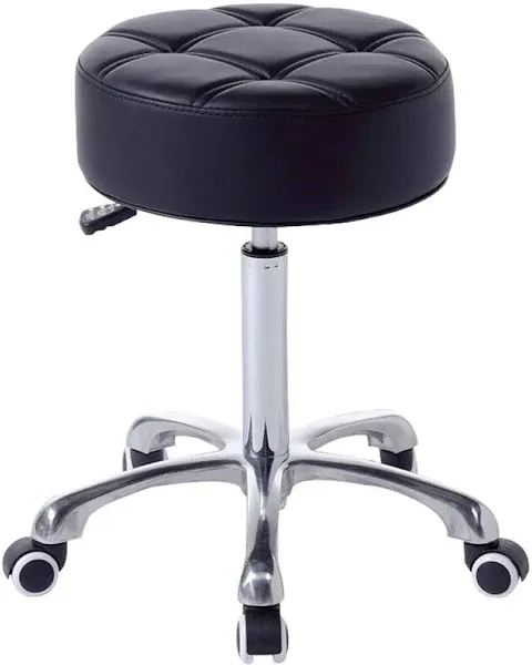 FRNIAMC Rolling Salon Stool