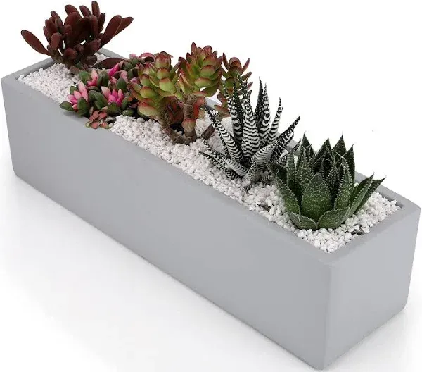 Ten-Stone 15 Inch Rectangular Cement Planter