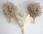 Kocat 30 Pcs Boho Decor, Fluffy Pompas Grass, Natural Dry Pampas Grass Small, Short Pampass Bulk for Boho Room Decor, Coffee Table Decor (17 inch )