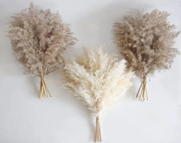 30 PCS Boho Decor, Fluffy Pompas Grass, Natural Dry Pampas Grass Small, Short Pampass Bulk for Boho Room Decor, Coffee Table Decor (17 inch )