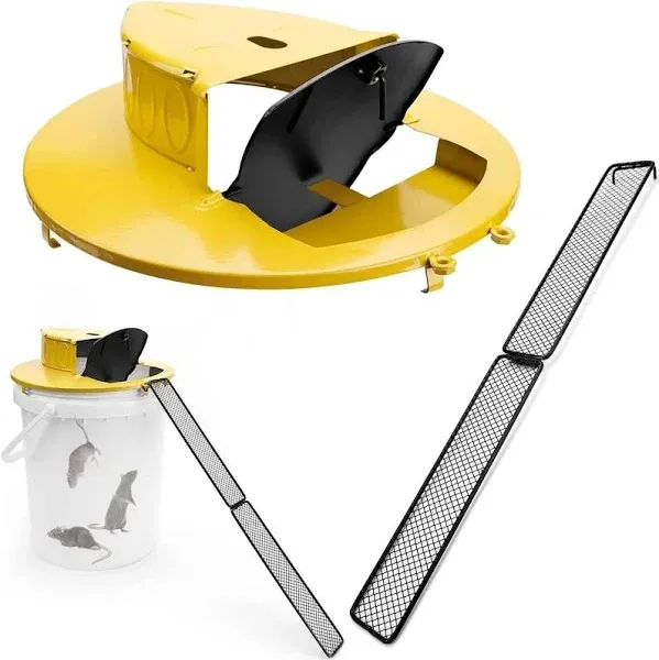 Bucket Lid Mouse Trap