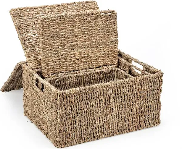 Trademark Innovations Set of 3 Rectangular Seagrass Baskets with Lids, Natural (Large)