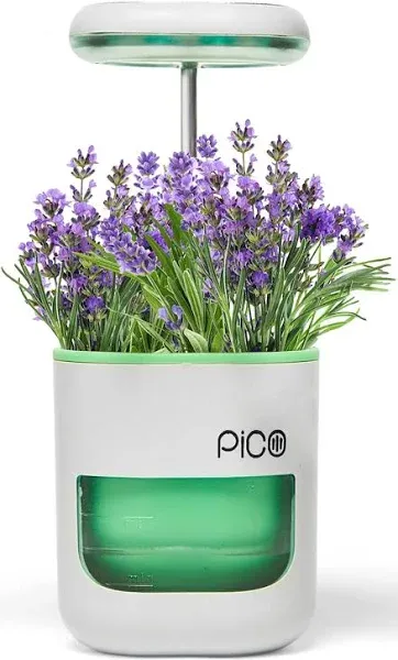 Pico Planter, Green