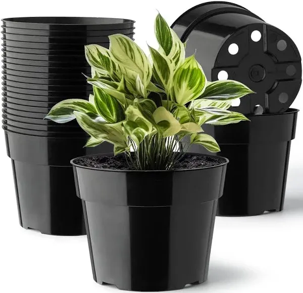 RooTrimmer 20 Pack 6 Inch Plant Pots