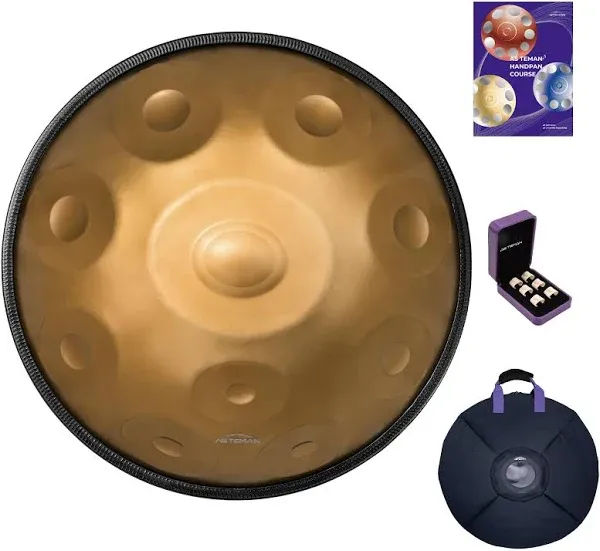 Handpan Drum Instrument In D Minor 9/10 Notes 22 Inches Steel Hand Drum with Carry Bag, Mallets, Bracket, Note Stickers, Wipe Cloth - 440HZ/432HZ Handpan