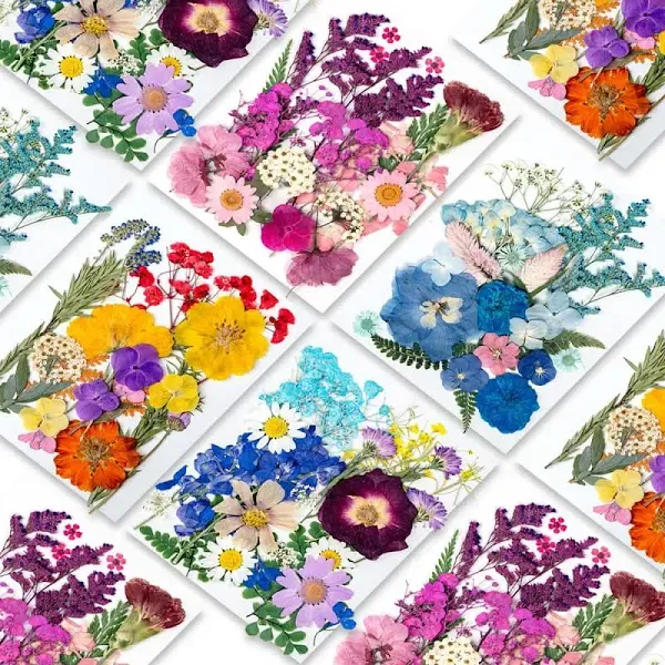 Blaflo 95pcs Dried Pressed Flowers for Resin