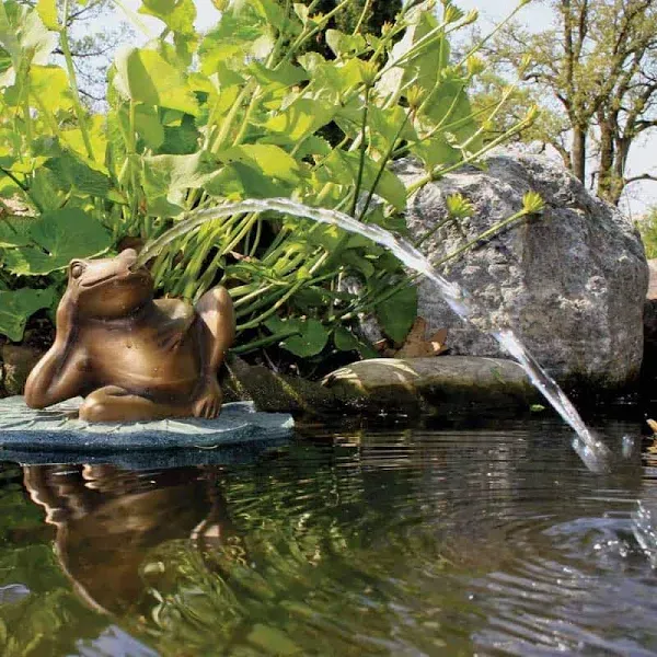 Aquascape Lazy Frog on Lily Pad Spitter