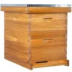 POLLIBEE Bee Hive Starter Kit, 8 Frame Bee Hives, Hive Include1 Deep Bee Box 1 Medium Beehive Box with Bee Frames and Wax Foundation,Unassembled