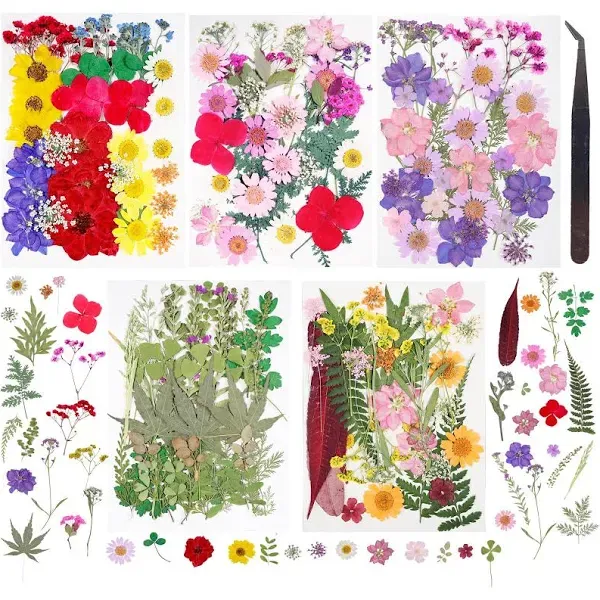 180Pcs Dried Pressed Flowers Resin Mould Real Pressed Flowers Natural Dry Leaves Bulk Mixed Colorful Herbs Kit with Tweezers for Scrapbooking DIY Candle Jewelry Crafts Making Nails (Bright Color)