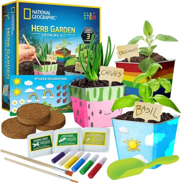 NATIONAL GEOGRAPHIC Herb Growing Kit for Kids Decorate 3 Pots Paint and Stickers