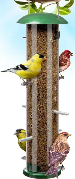 Thistle &amp; Nyjer Bird Feeders for Outdoors Hanging, Metal Finch Bird Feeder wi...