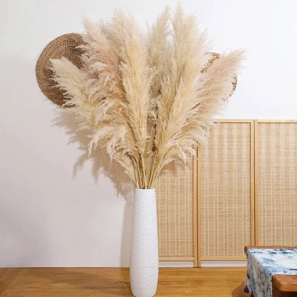 Pampas Grass Decor Tall, 47&#034; Inch 10 Stems 47 inch Pampas Grass Tall - Beige