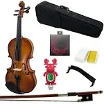 Paititi Artist-100 Student Violin Starter Kit with Brazilwood Bow Lightweight Case Extra Strings and Rosin