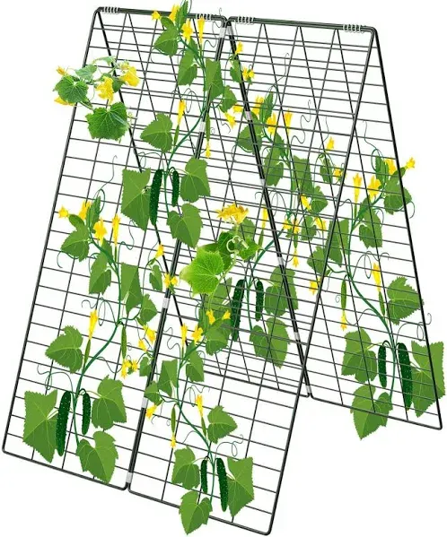 AGTEK 34" x 48" Foldable Cucumber Trellis with Garden Stakes and Zip Ties Plant Support A Frame Metal Trellis for Climbing Plants, Cucumber, Vegetable, Flowers