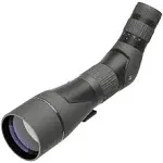 Leupold SX-2 Alpine HD 20-60x80mm Angled