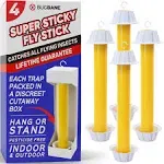 Bugbane Fly Stick Sticky Fly Traps for Indoors and Outdoor 4pk. Non-Toxic Bait Free. Trap All Flies. Sticky Fly Traps for Indoors Outdoor Fly Catchers