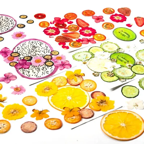 Blaflo 60-Piece Natural Dried Flowers and Fruits Set