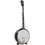 Recording King RKR20 Bluegrass Series Songster Banjo