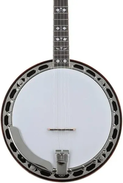 Recording King RKR20 Bluegrass Series Songster Banjo