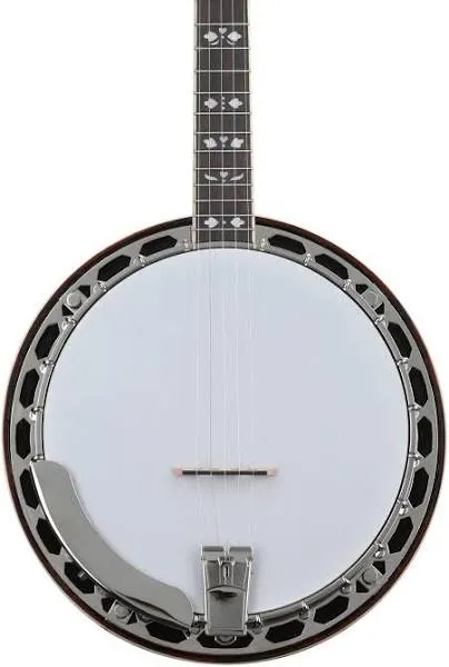 Recording King RK-R20 Songster 5-String Bluegrass Resonator Banjo, Natural