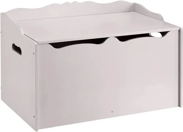 Amazon Basics Kids Toy Box