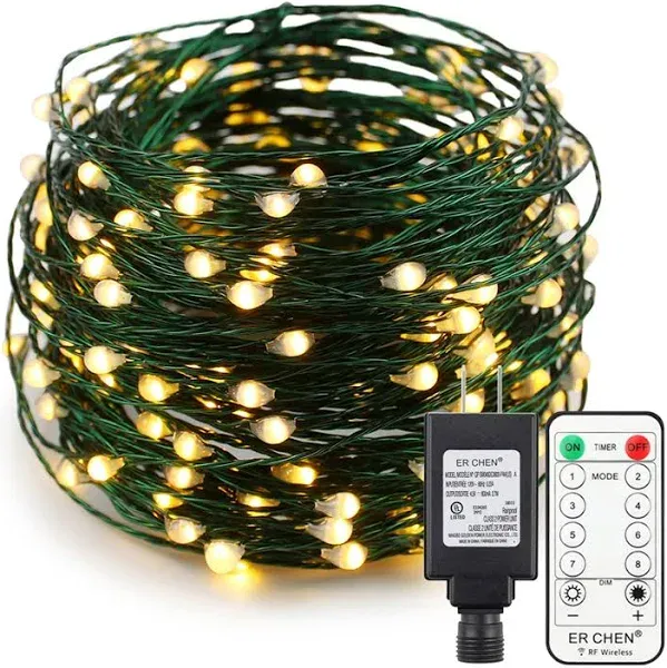 Er Chen 66ft LED String Lights