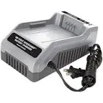 Snow Sun Joe iCHRG40 EcoSharp Lithium-Ion Battery Charger 40 Volt