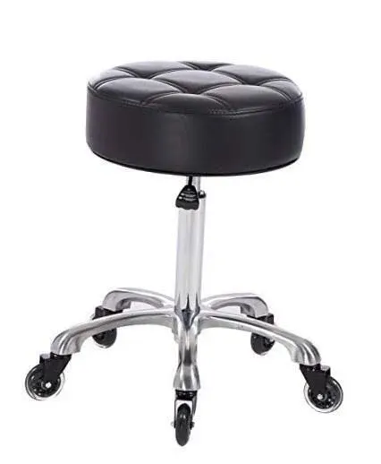 FRNIAMC Rolling Salon Stool