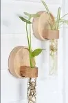 Propagation Wall Hanging Plant Wall Decor Set of 2 Wall Vases for Flowers Maple Wood and Glass Wall Planters for Indoor Plants