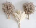 30 PCS Boho Decor, Fluffy Pompas Grass, Natural Dry Pampas Grass Small, Short...