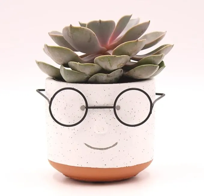 Edington Decor Face Planter Pot, Head Planter Pot, Succulent Planter with Drainage, Face Flower Pot, 4 inch Plant Pot, Unique Cute Pot with Glasses