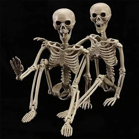 HBSTK 2 Pack 40 Inches Halloween Skeleton Full Body Posable Movable Jonints for Halloween Decoration Décor