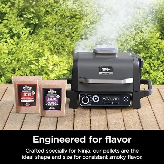 Ninja Woodfire Grill - Charcoal - OG701